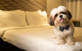 ibis Juazeiro do Norte